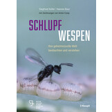 Schlupfwespen - Ihre geheimnisvolle Welt beobachten und verstehen