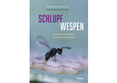 Schlupfwespen