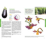 Praxishandbuch Nutzpflanzenbestäubung - Ertragssteigerung durch Förderung der Biodiversität