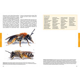 Praxishandbuch Nutzpflanzenbestäubung - Ertragssteigerung durch Förderung der Biodiversität