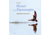 Mauer- und Alpensegler
