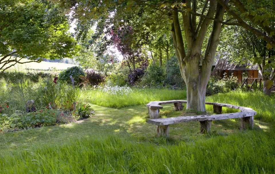 The Essential Tree Selection Guide - For Climate Resilience, Carbon Storage, Species Diversity and Other Ecosystem Benefits