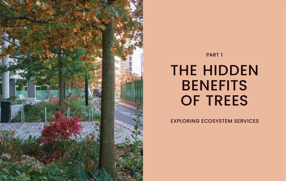 The Essential Tree Selection Guide - For Climate Resilience, Carbon Storage, Species Diversity and Other Ecosystem Benefits