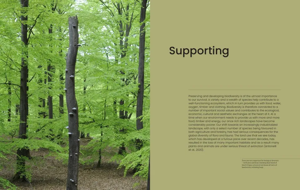 The Essential Tree Selection Guide - For Climate Resilience, Carbon Storage, Species Diversity and Other Ecosystem Benefits