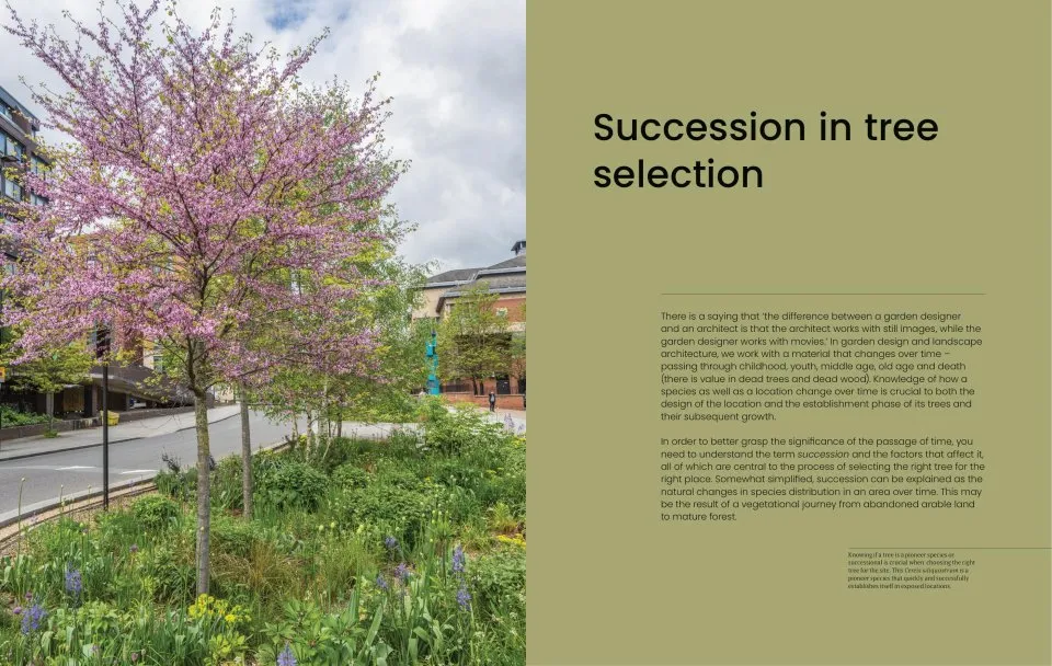 The Essential Tree Selection Guide - For Climate Resilience, Carbon Storage, Species Diversity and Other Ecosystem Benefits