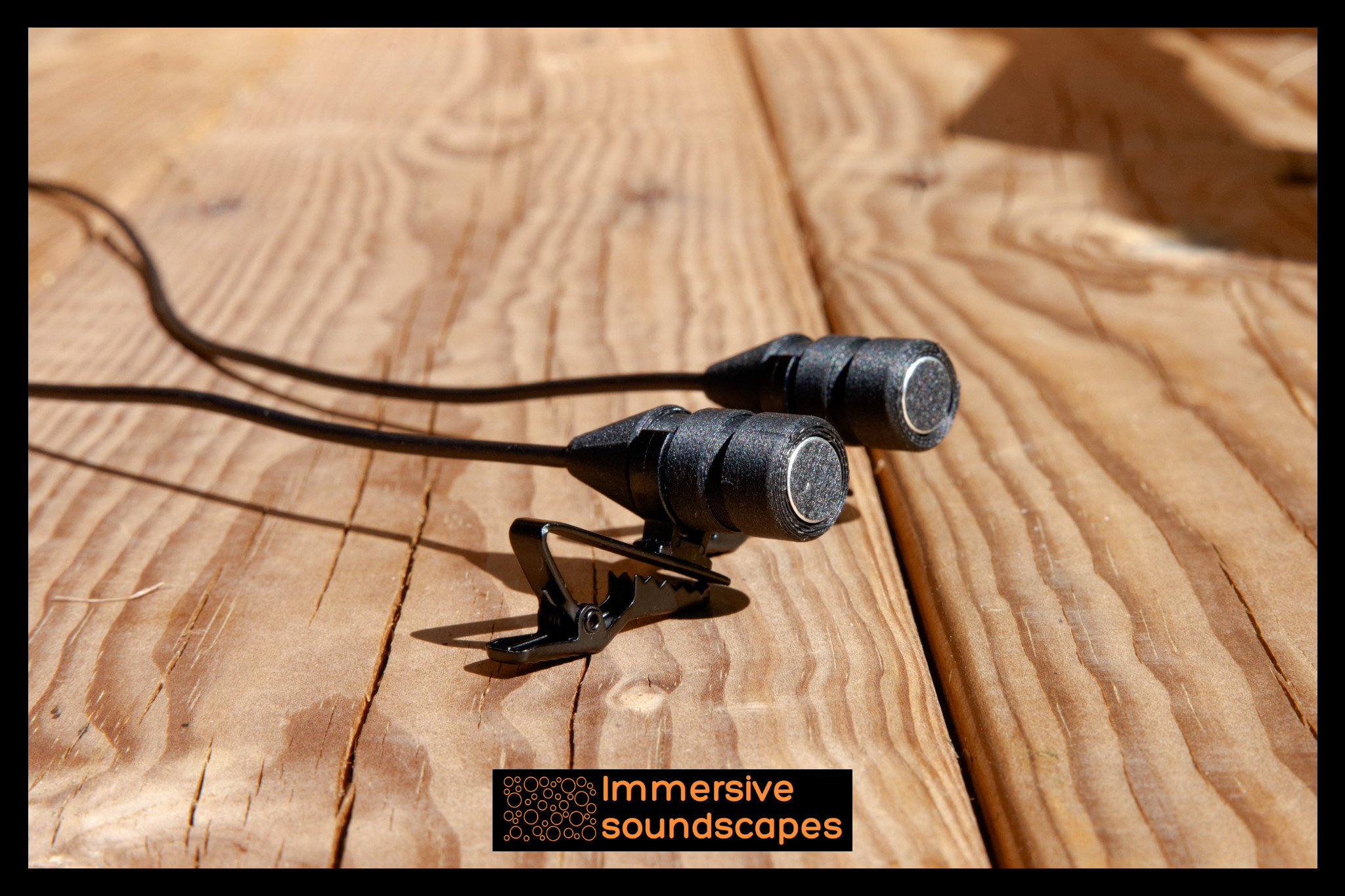 EarSight Standard V2 XLR Stereo Microfoon