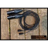EarSight Nano 2 XLR Stereomikrofon