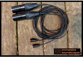 EarSight Nano 2 XLR Stereo Microphone