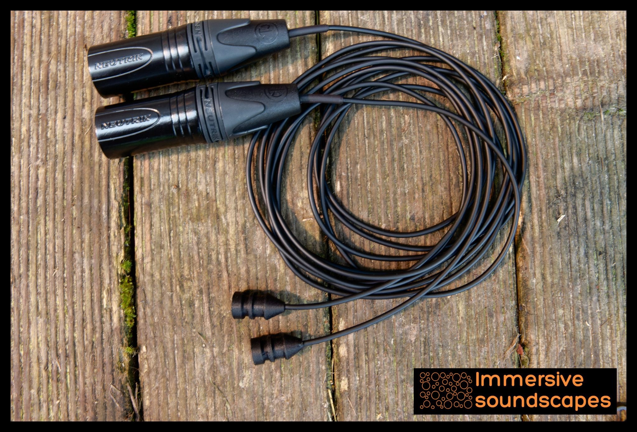 EarSight Nano 2 XLR Stereo Microphone