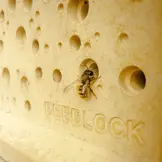 Bienenblock XL