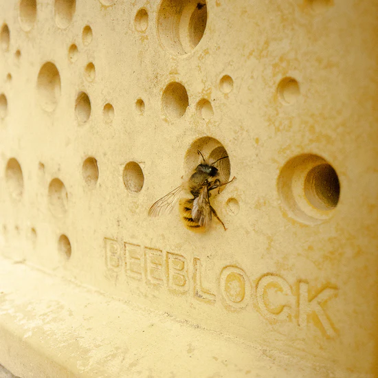 Bees Block XL