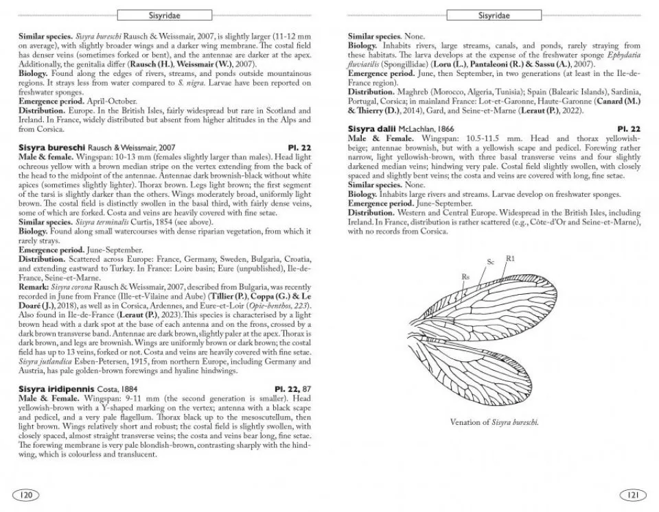 Neuropteroids of Europe Neuroptera, Trichoptera, Plecoptera, Mecoptera, Megaloptera and Rhaphidioptera