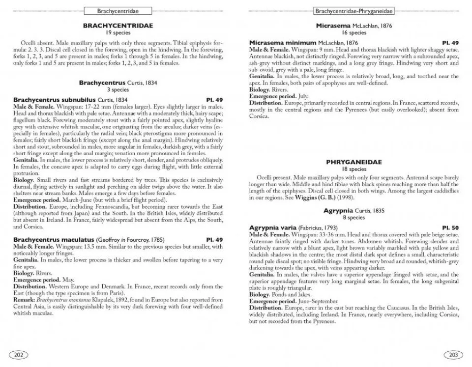 Neuropteroids of Europe Neuroptera, Trichoptera, Plecoptera, Mecoptera, Megaloptera and Rhaphidioptera