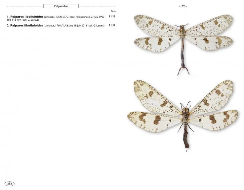 Neuropteroids of Europe Neuroptera, Trichoptera, Plecoptera, Mecoptera, Megaloptera and Rhaphidioptera