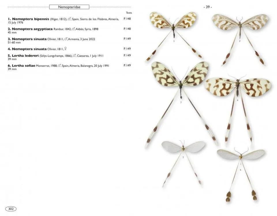 Neuropteroids of Europe Neuroptera, Trichoptera, Plecoptera, Mecoptera, Megaloptera and Rhaphidioptera