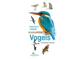 Hayman's zakgids Vogels