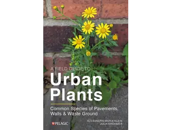 A Field Guide to Urban Plants