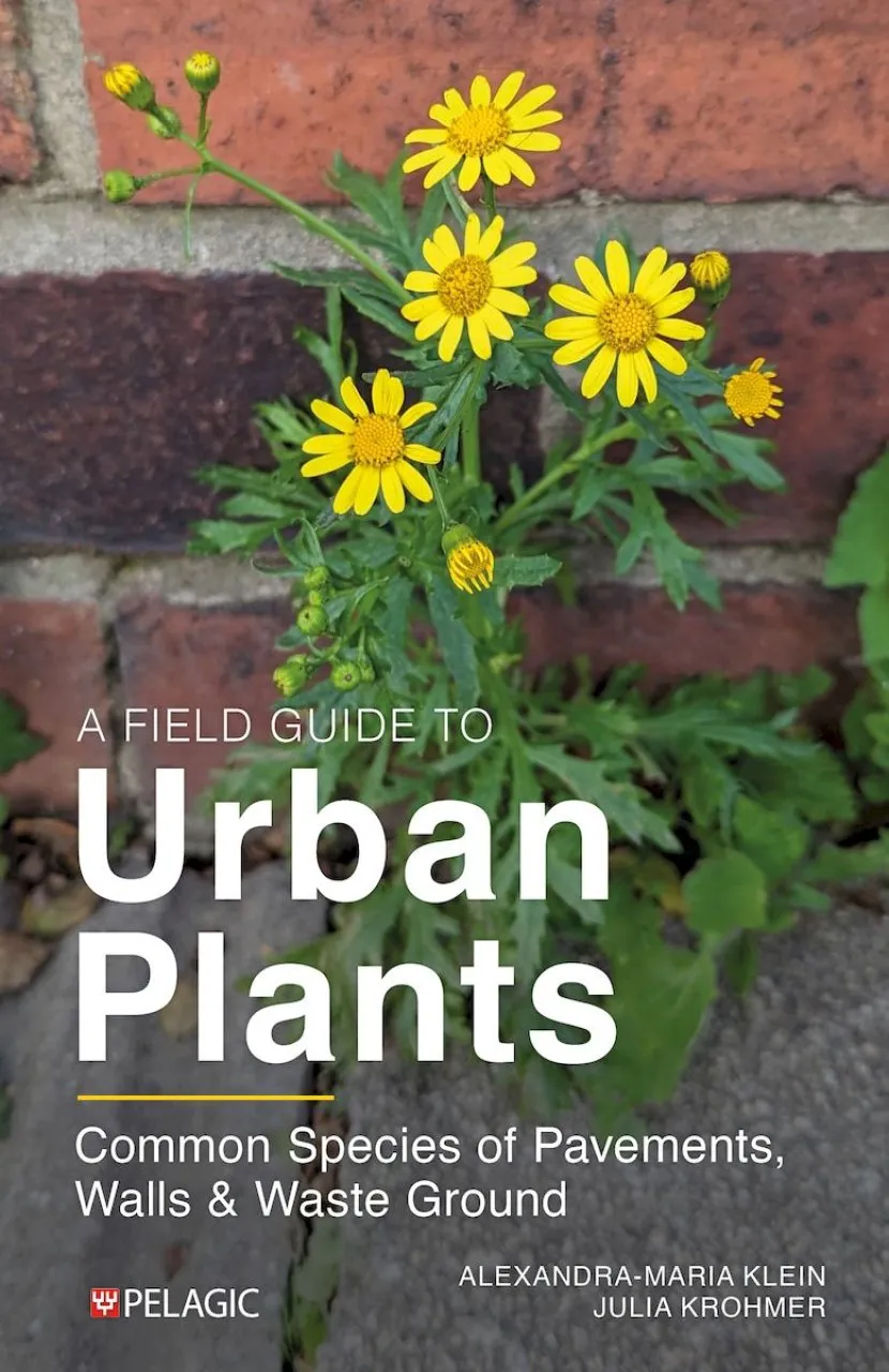 A Field Guide to Urban Plants - Common Species of Pavements, Walls and Waste Ground