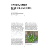 A Field Guide to Urban Plants - Common Species of Pavements, Walls and Waste Ground