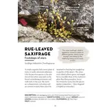 A Field Guide to Urban Plants - Common Species of Pavements, Walls and Waste Ground