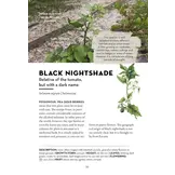 A Field Guide to Urban Plants - Common Species of Pavements, Walls and Waste Ground