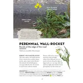 A Field Guide to Urban Plants - Common Species of Pavements, Walls and Waste Ground