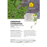 A Field Guide to Urban Plants - Common Species of Pavements, Walls and Waste Ground