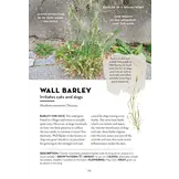 A Field Guide to Urban Plants - Common Species of Pavements, Walls and Waste Ground