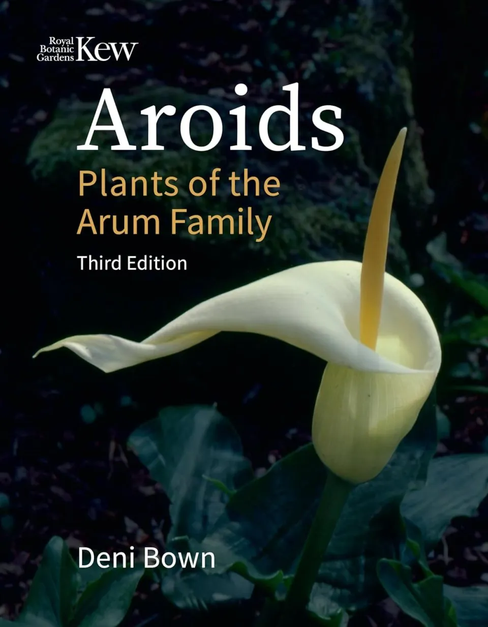 Aroids - Plants of the Arum Family