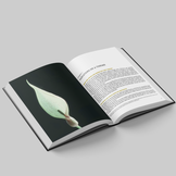 Aroids - Plants of the Arum Family