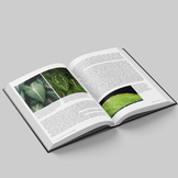 Aroids - Plants of the Arum Family