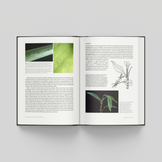 Aroids - Plants of the Arum Family