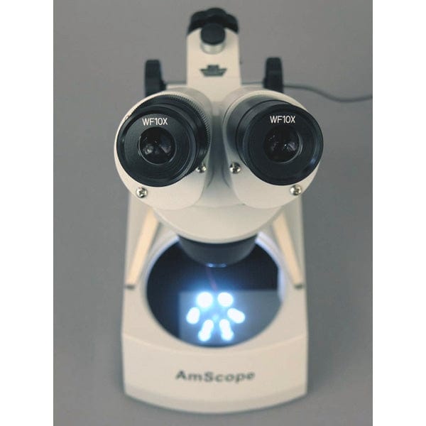 AmScope SE306 Serie Compacte Stereomicroscoop 20x-80x