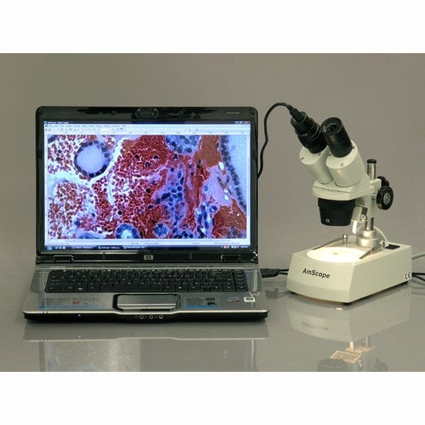 AmScope SE306 Serie Compacte Stereomicroscoop 20x-80x