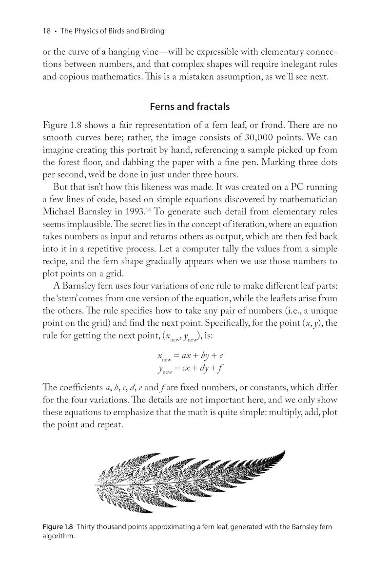 The Physics of Birds and Birding - The Sounds, Colors and Movements of Birds, and Our Tools for Watching Them