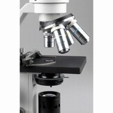 AmScope M500 Serie LED Monoculaire Microscoop 40X-1000X