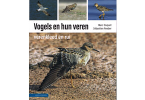 Vogels en hun veren