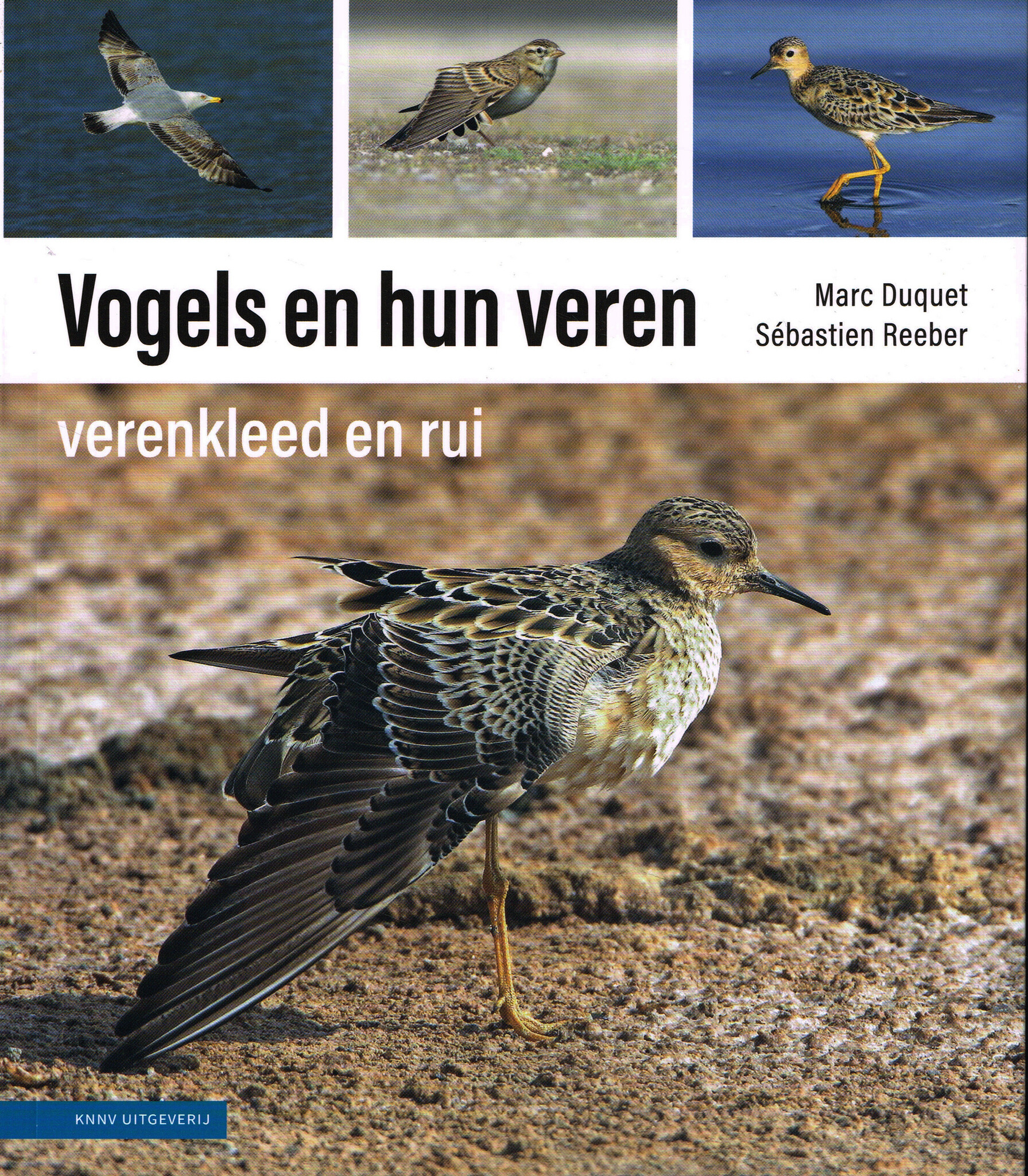 Vogels en hun veren - verenkleed en rui