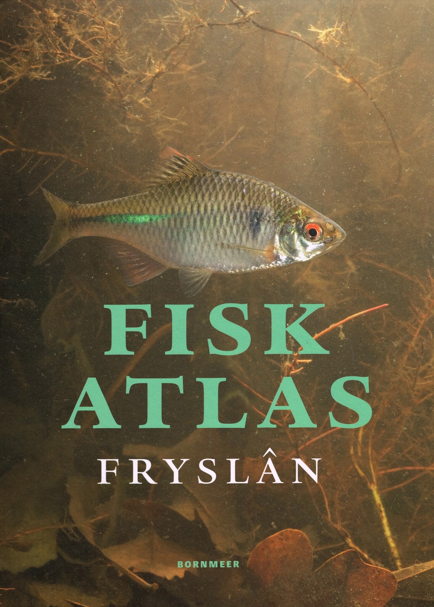 Fiskatlas Fryslân