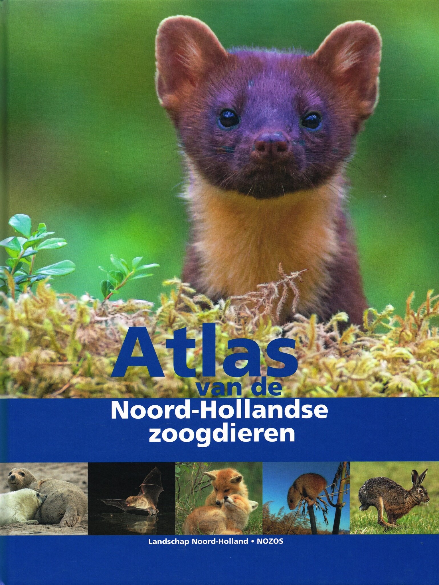 Atlas van de Noord-Hollandse zoogdieren