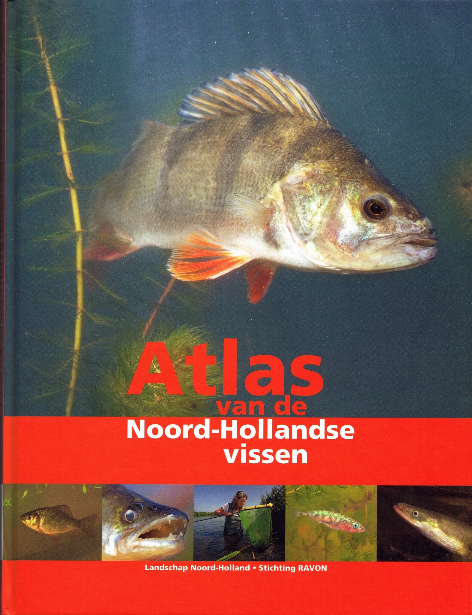 Atlas van de Noord-Hollandse vissen