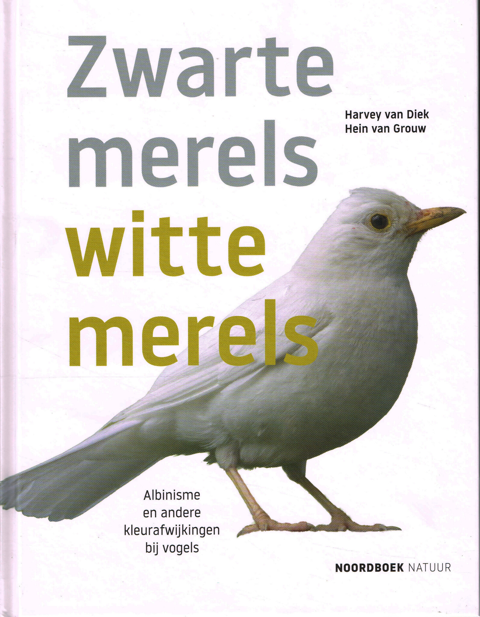Zwarte merels, witte merels - Albinisme en andere kleurafwijkingen bij vogels