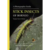 A Photographic Guide: Stick Insects of Borneo