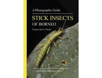 A Photographic Guide: Stick Insects of Borneo