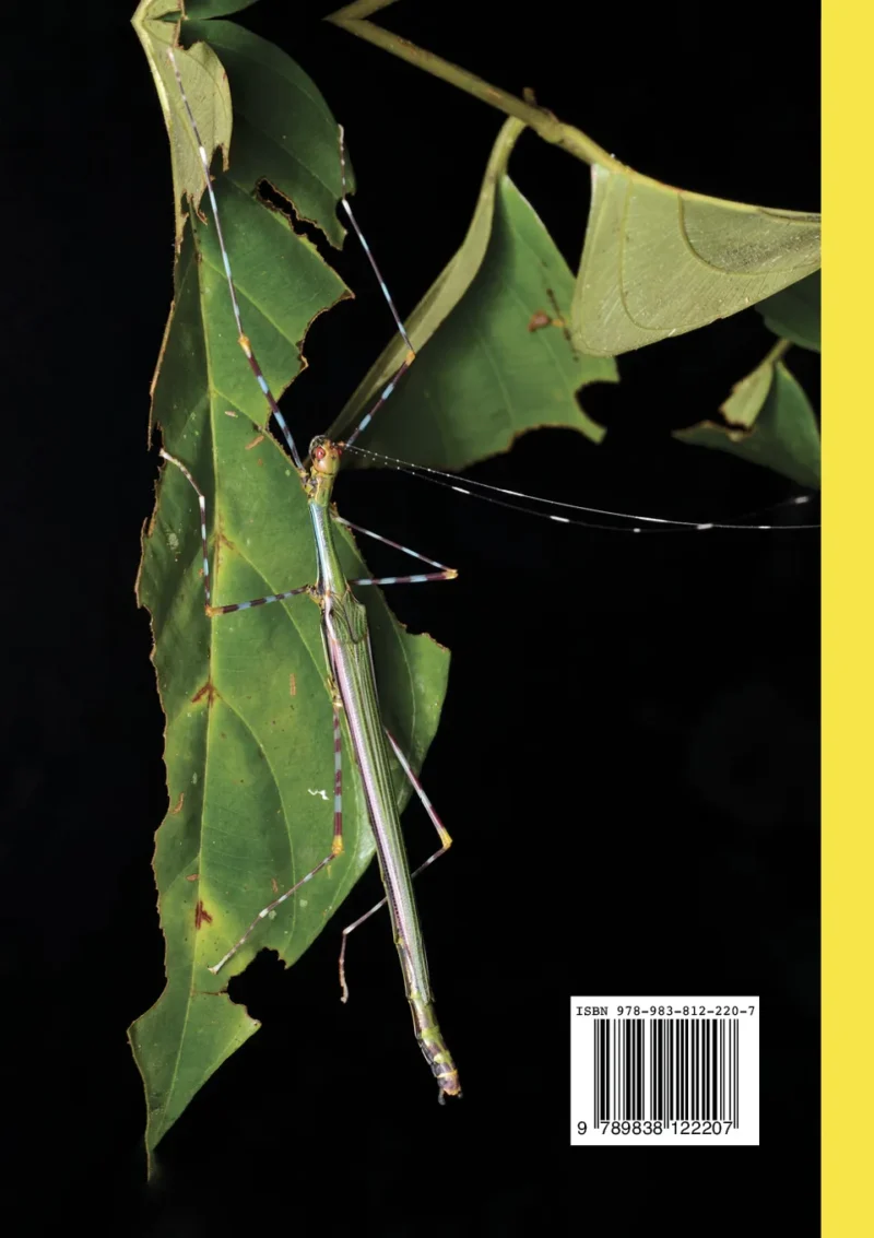 A Photographic Guide: Stick Insects of Borneo