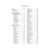 A Photographic Guide: Stick Insects of Borneo