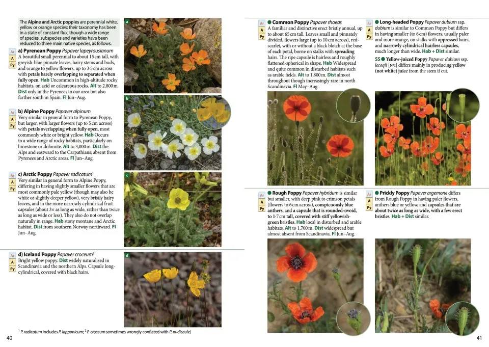 Europe's Alpine Flowers - A Field Guide