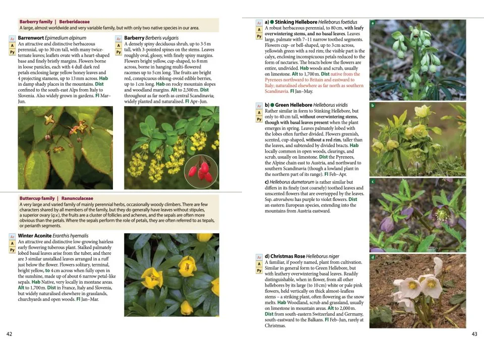 Europe's Alpine Flowers - A Field Guide