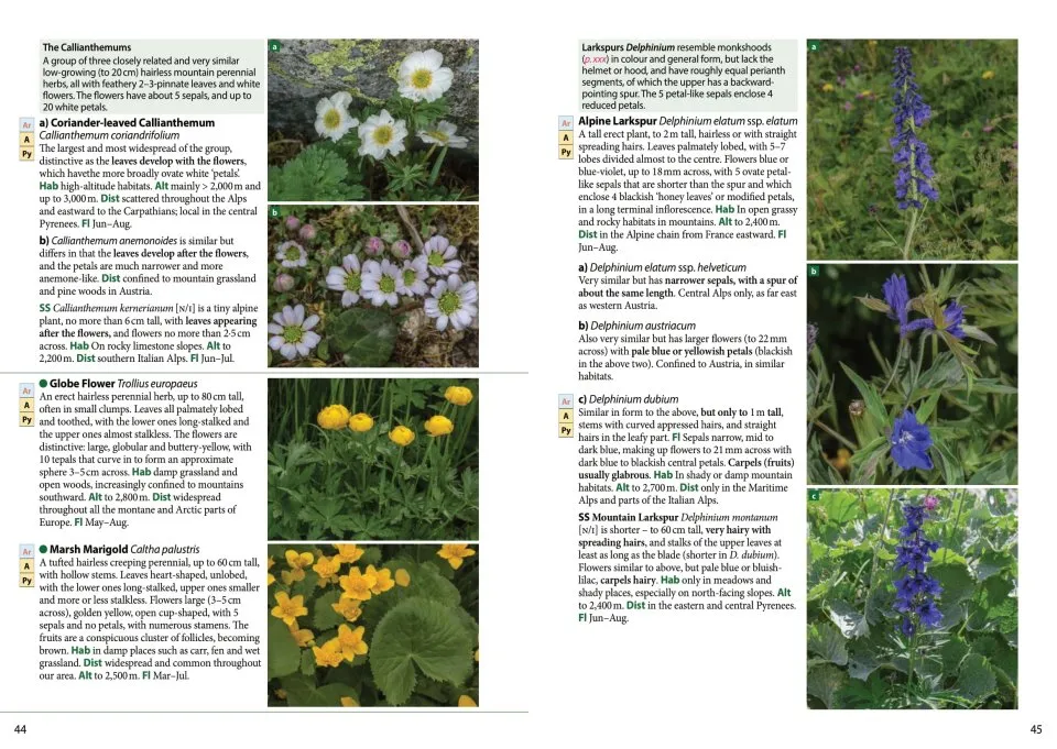 Europe's Alpine Flowers - A Field Guide