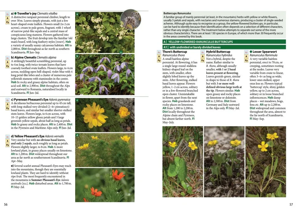 Europe's Alpine Flowers - A Field Guide